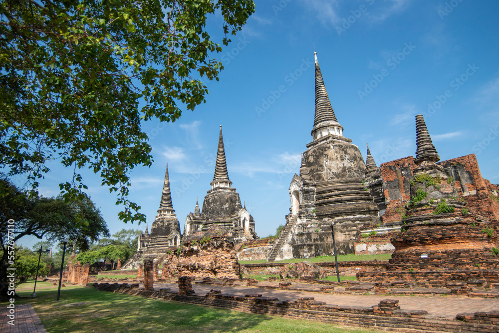 Fototapeta premium THAILAND AYUTTHAYA WAT PHRA SI SANPHET