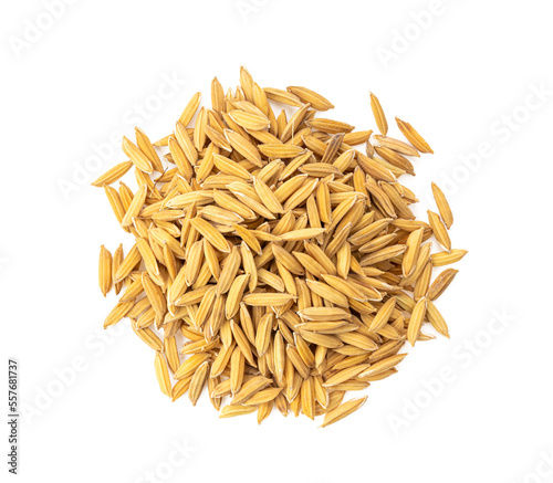 paddy rice seed top view of thai jasmine on transparent png