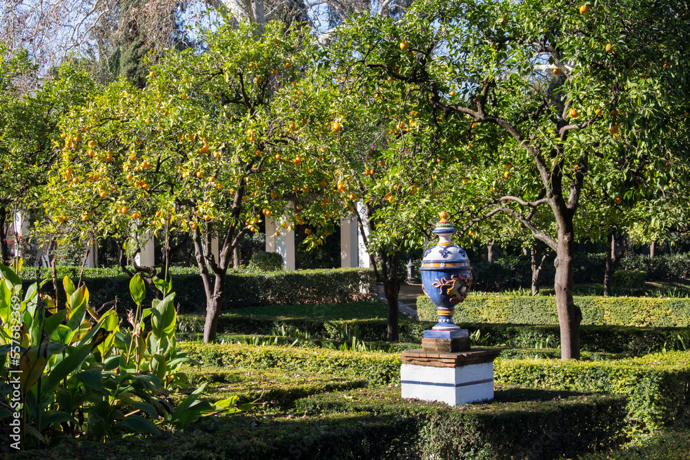 Obraz premium Andalucian garden with orange trees and blue porcelain vase in Seville