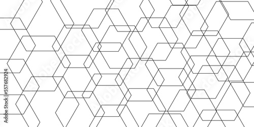 Abstract white background with hexagons black lines. Modern and geometric pattern with Design print for illustration  texture  textile  wallpaper  background and diagonal black background .  