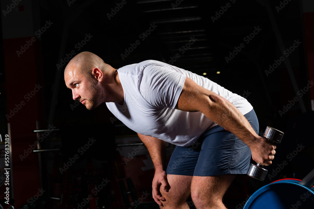 Male bodybuilder engaged with dumbbells in the gym Male bodybuilder engaged with dumbbells in the gym