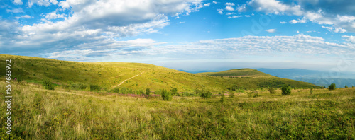 Panorama of summer mountain landscape. Hills overgrown with green grasses and blueberry bushes under a blue sky with light clouds. Atmosphere of summer serenity