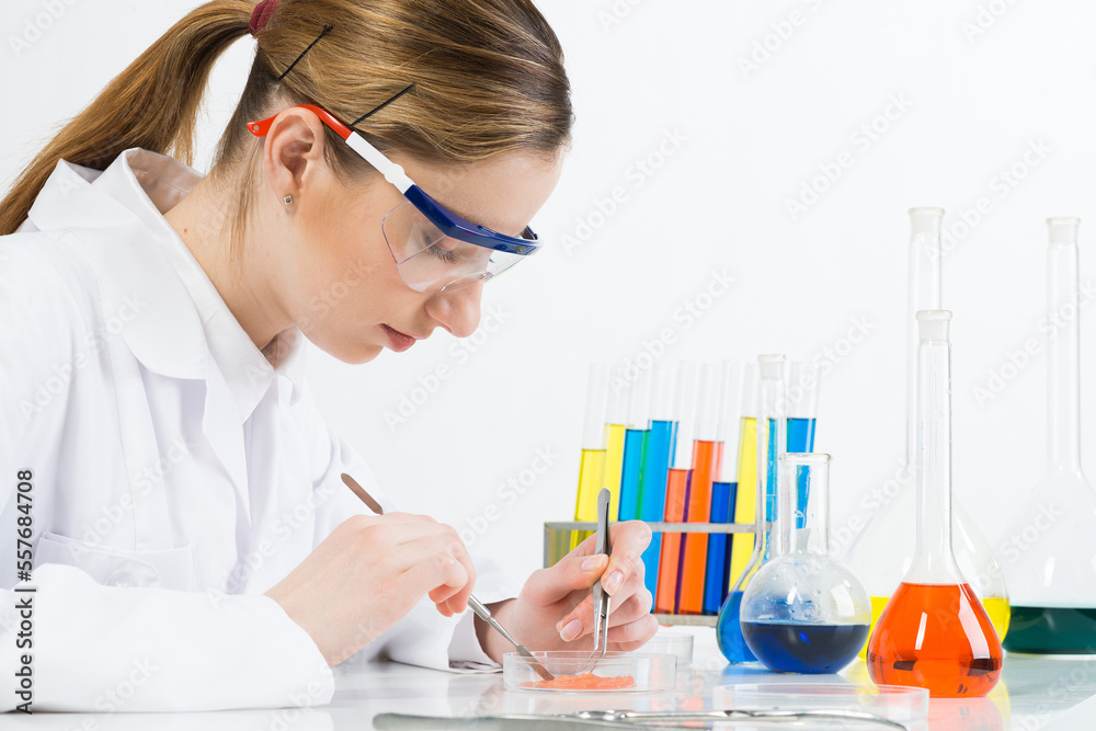 Microbiologist researching sample in petri dish. Microbiologist researching sample in petri dish.
