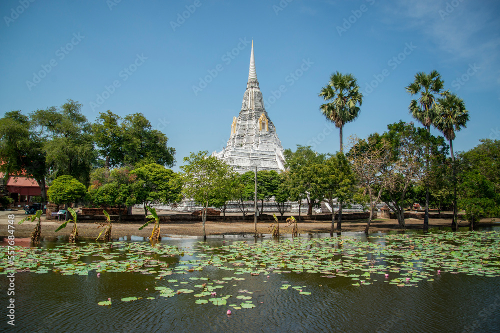 THAILAND AYUTTHAYA WAT PHU KHAO THONG