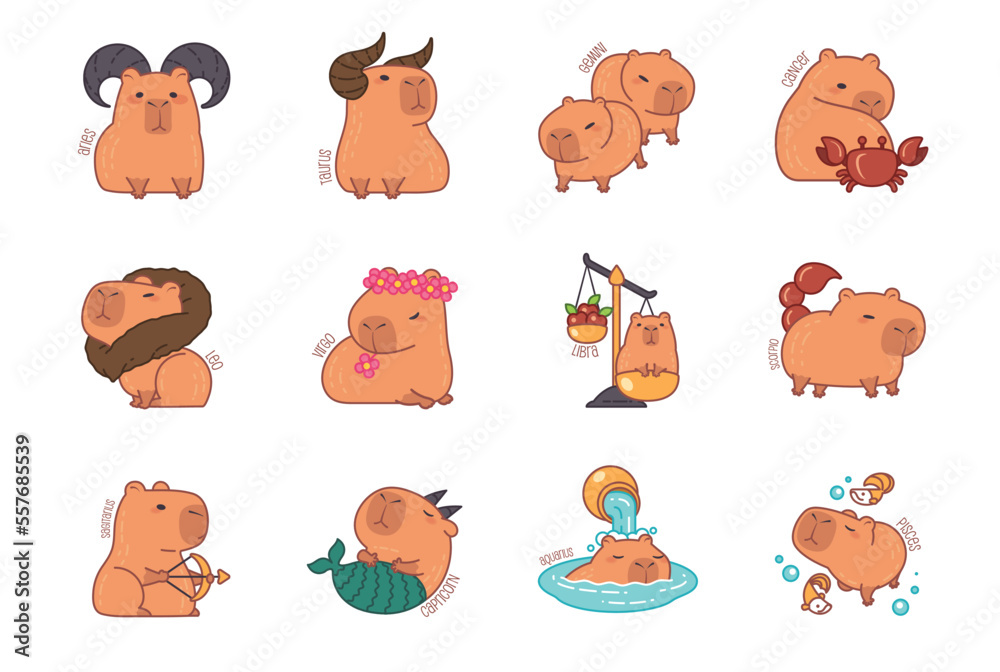 Obraz premium Zodiac signs icons astrology as Capybara