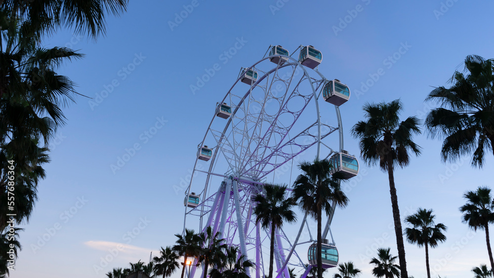 Fototapeta premium View of giant Ferris wheel at dusk