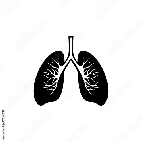 Human lungs flat icon isolated on white background © sljubisa