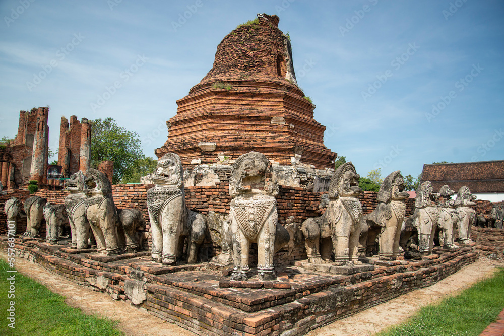 Naklejka premium THAILAND AYUTTHAYA WAT THAMMIKARAT