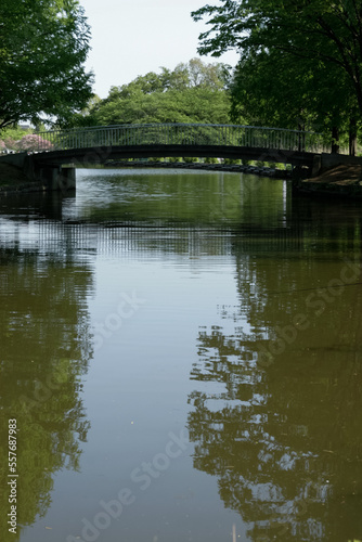 pond bridge at AgeoMaruyama park in Saitama, Japan | 公園の池に架かる遊歩橋・上尾丸山公園