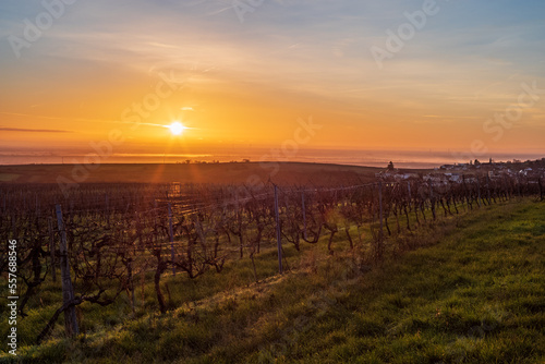 sonnenaufgang über den weinbergen