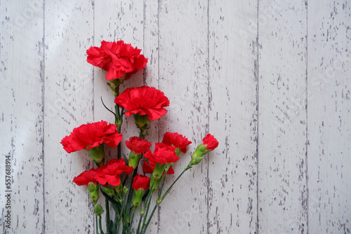 Red Carnation flowers composition on white wooden background. floral background for Mother's day, Women's day and wedding. Beautiful red carnation on wooden table. 