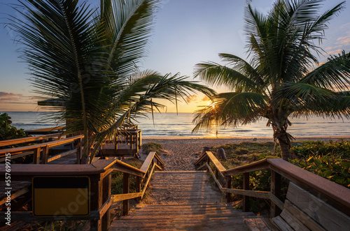 The rising sun shines through palm trees on a Florida beach.