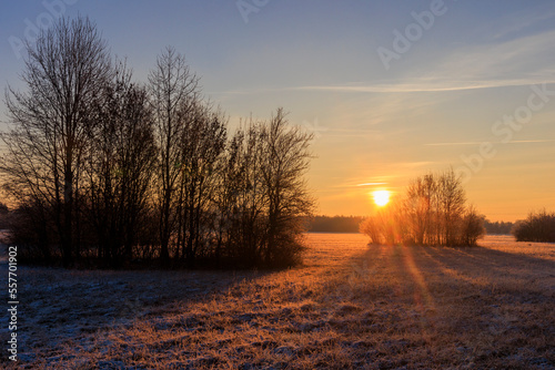 Colorful sunrise with golden sunshine over bushes and trees on a meadow landscape in Siebenbrunn near Augsburg