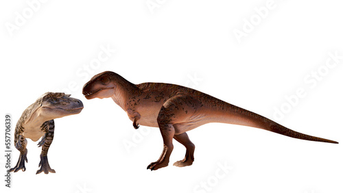 dinosaur albertosaurus vs acrocanthosaurus roaring  fighting isolated on blank background PNG ultra high resolution
