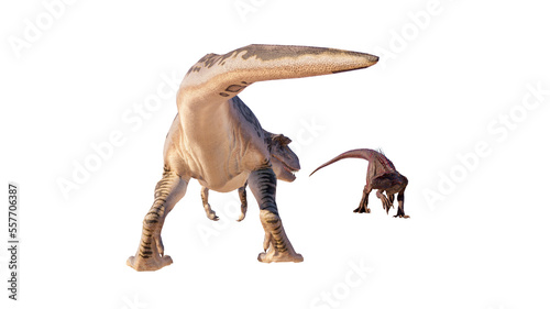 Dinosaur albertosaurus vs Indoraptor roaring  fighting isolated on blank background PNG ultra high resolution