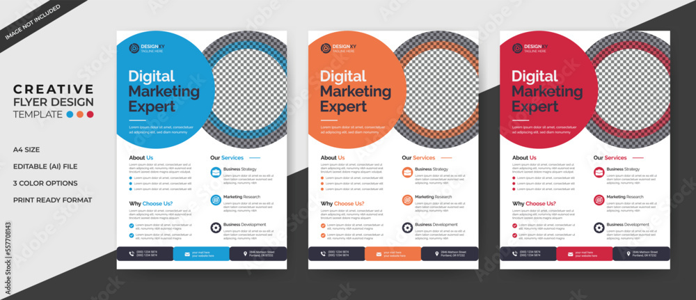 Corporate Flyer Design Corporate Flyer Design