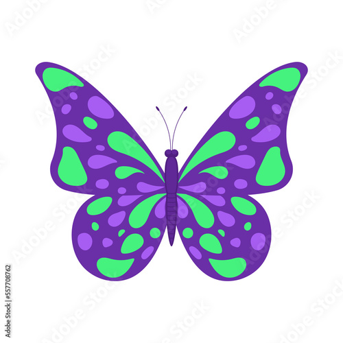 Colorful butterfly isolated on white background. Vector icon, symbol © Mr.Vander