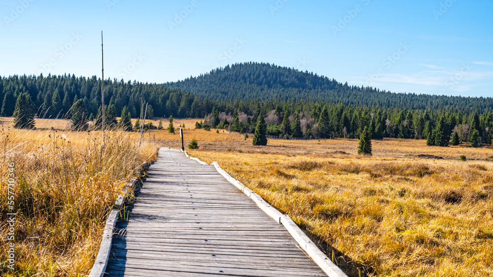Wooden path in Bozi Dar peat bog nature reservation on sunny autumn day. Ore Mountains, Czech: Krusne hory, Czech Republic