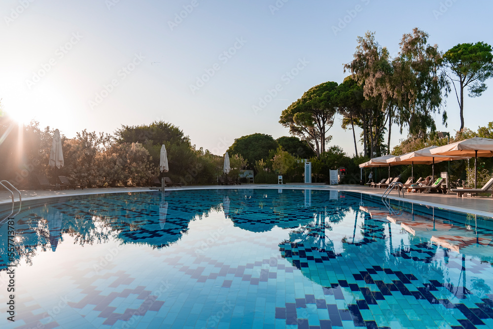 Empty deck chairs and parasols arranged by swimming pool with lush trees and clear sky in the background at tourist resort during summer