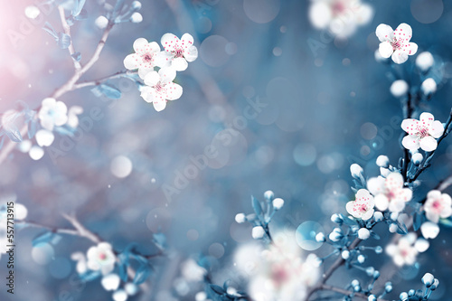 Flowering branches and petals on a blurred background,