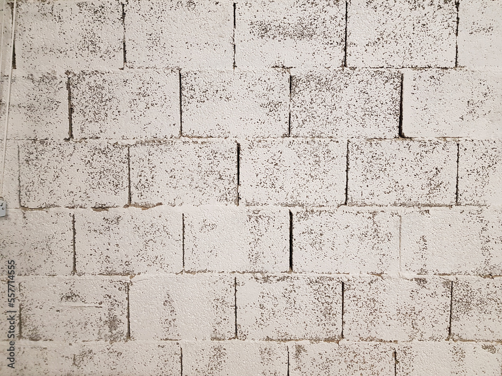 Fototapeta premium Muro