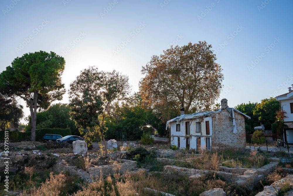 View of plants growing on land in front of old abandoned house with trees and clear blue sky in the background at Turkey View of plants growing on land in front of old abandoned house with trees and clear blue sky in the background at Turkey
