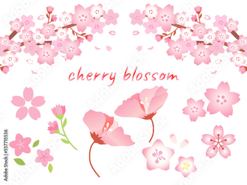 かわいい桜のセット