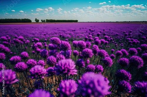 A field full of purple flowers under a blue sky. Art. Landscape. Generative AI.