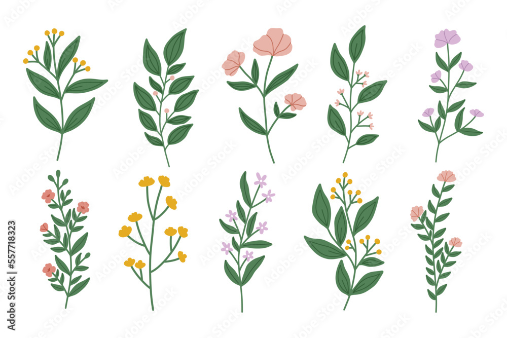 Set of modern floral elements.Flower and green leaves.Hand draw botanical. Set of modern floral elements.Flower and green leaves.Hand draw botanical.