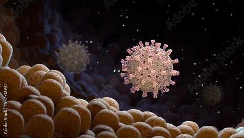 Rotavirus on the microvilli surface of digestive system is a very contagious and causes diarrhea 3D animation photo