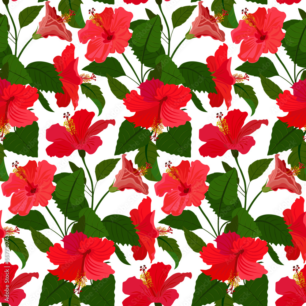 Hibiscus flowers, tropical plants, white background. Seamless floral pattern-206.