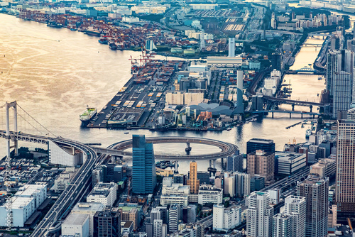 Aerial view of Minato City  Tokyo  Japan