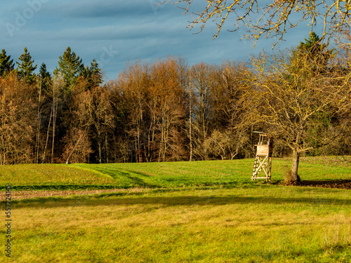 Hochsitz am Waldrand