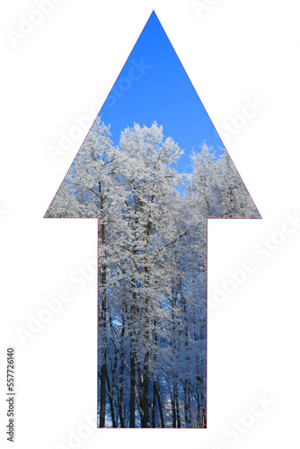Vertical up arrow closeup with winter snowy forest and blue sky inside.
