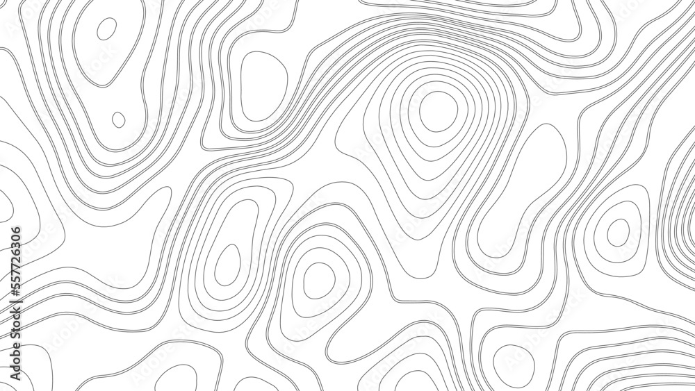 Abstract white topography vector background. Line topography map design. The concept of conditional geographical pattern and topography.	