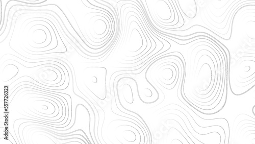 Abstract white topography vector background. Line topography map design. The concept of conditional geographical pattern and topography.	
