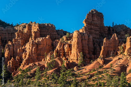 Orange colour Bryce Canyon sand dunes and canyons in sunset, Bryce national park, USA  © Kaspars