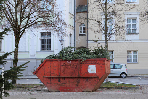 Christmas tree collection in a city after holidays. Bio waste after Christmas.