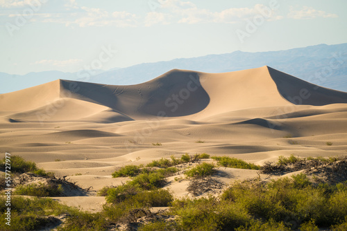 Desert dunes in Death Valley in USA 