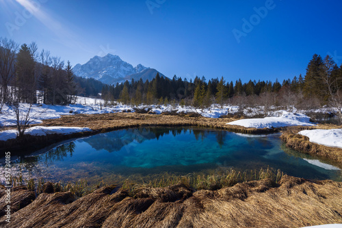 winter landscape in Zelenci, Slovenia