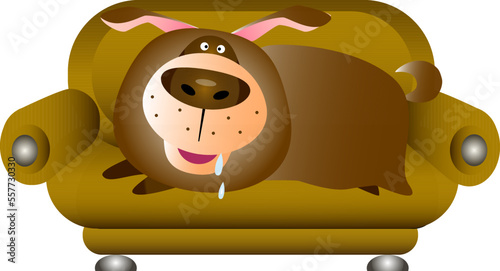Big, fat and kind dog lies on the sofa.