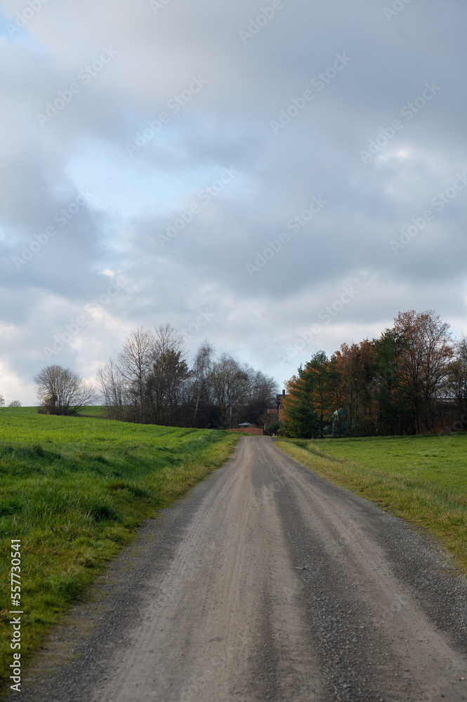 Country road between green meadows and a cloudy sky