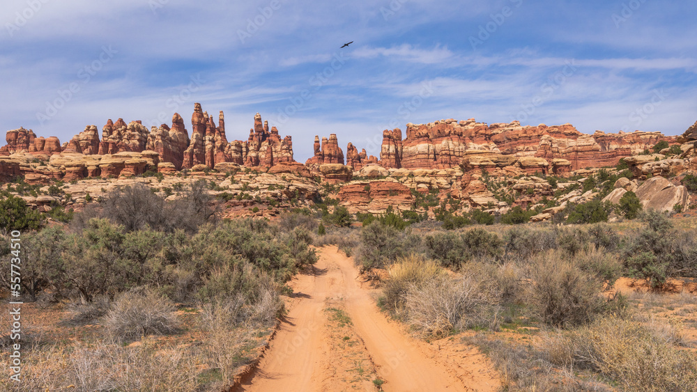 Foto Stock hiking the chesler park loop trail in the needles in canyonlands  national park, usa | Adobe Stock