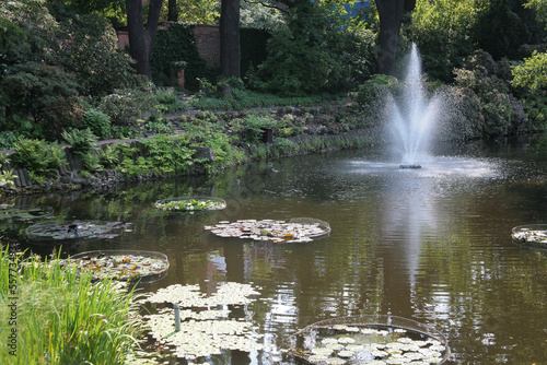 fountain in the park
