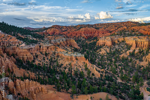 red canyon and forest landscape from above