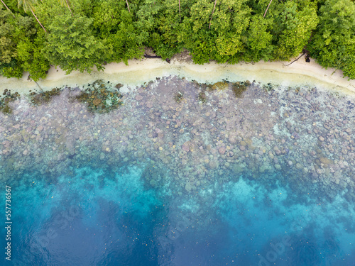 Fototapeta Naklejka Na Ścianę i Meble -  A lush, tropical island is fringed by a coral reef in the Solomon Islands. This beautiful country is home to spectacular marine biodiversity and many historic WWII sites.