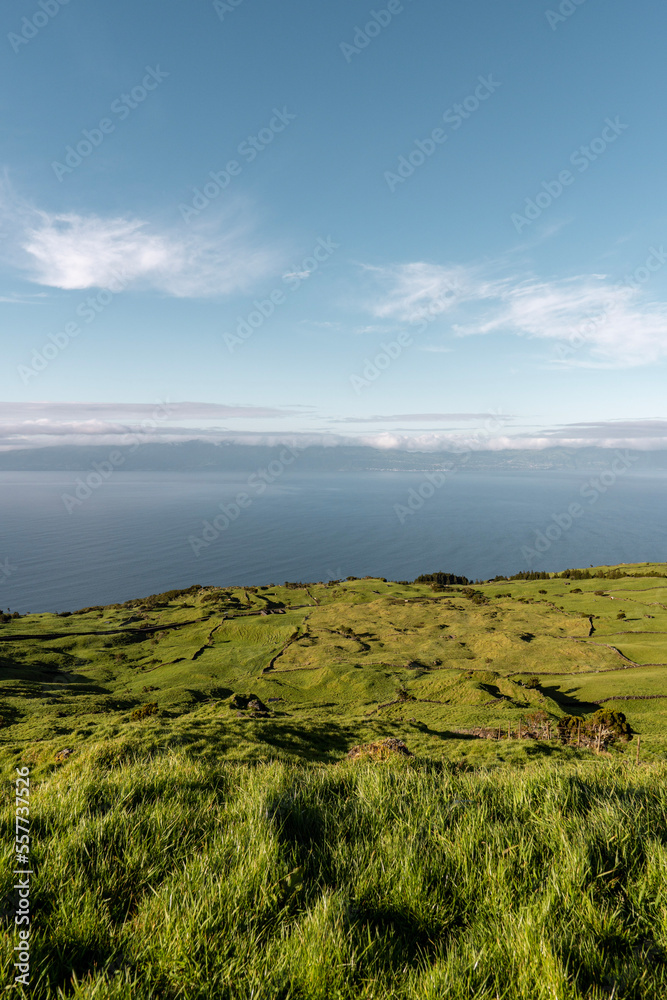 Fototapeta premium grass and blue sky