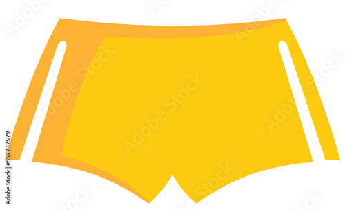 Hurling shorts icon. Flat illustration of Hurling shorts vector icon for web design isolated