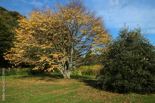 Leith Hall - Kennethmont - Aberdeenshire - Scotland