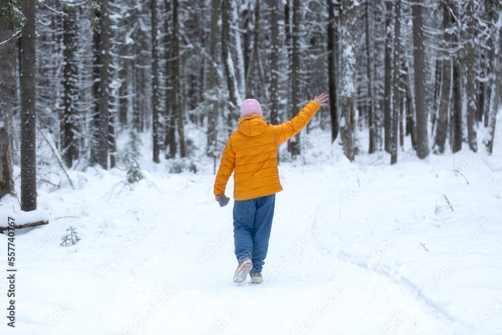 Nordic walking in winter in the forest.A walk in the winter forest. Nordic walking in winter in the forest.A walk in the winter forest.